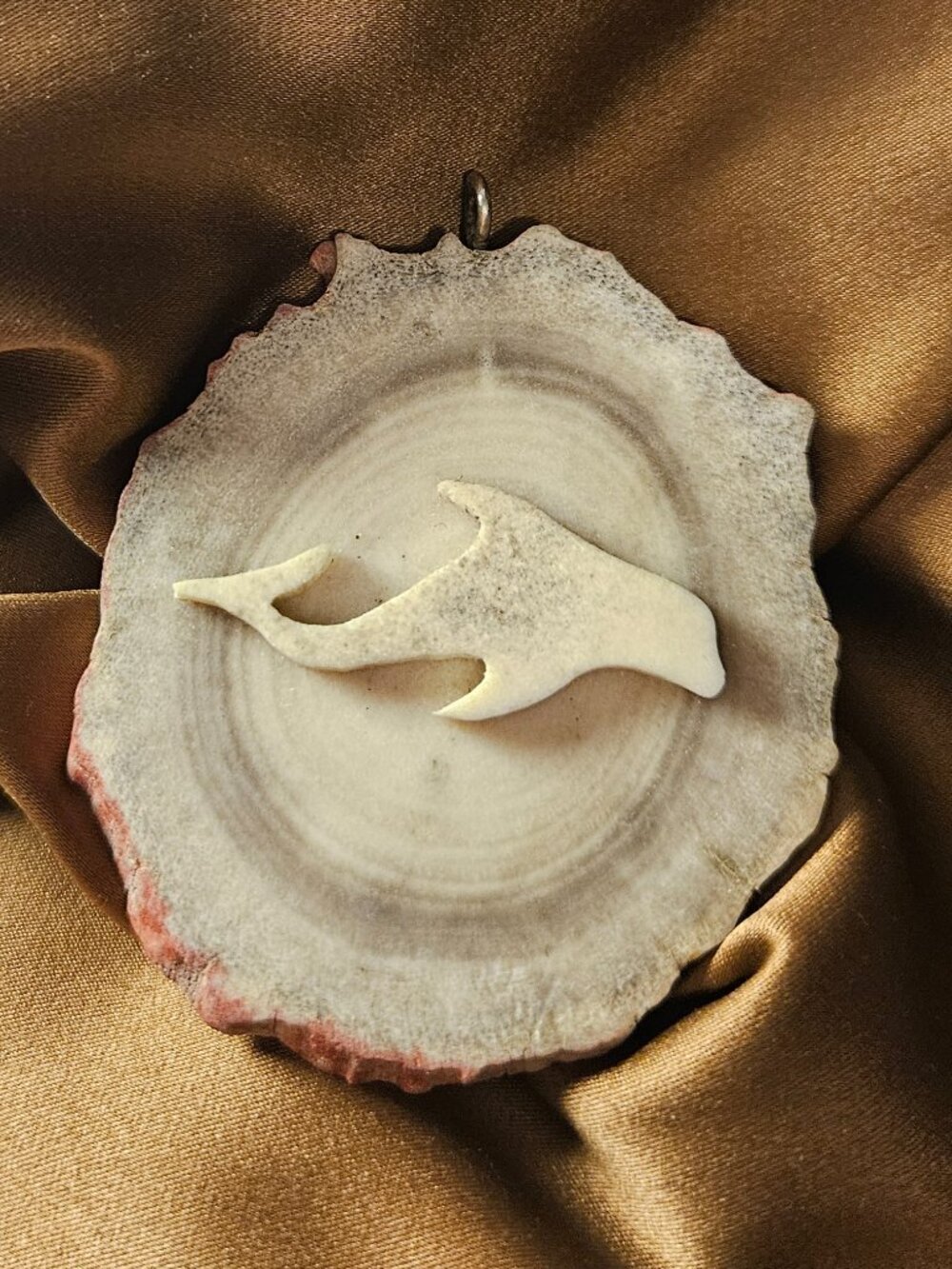 Hand Carved Bone Dolphin Antler Slice Pendant Necklace